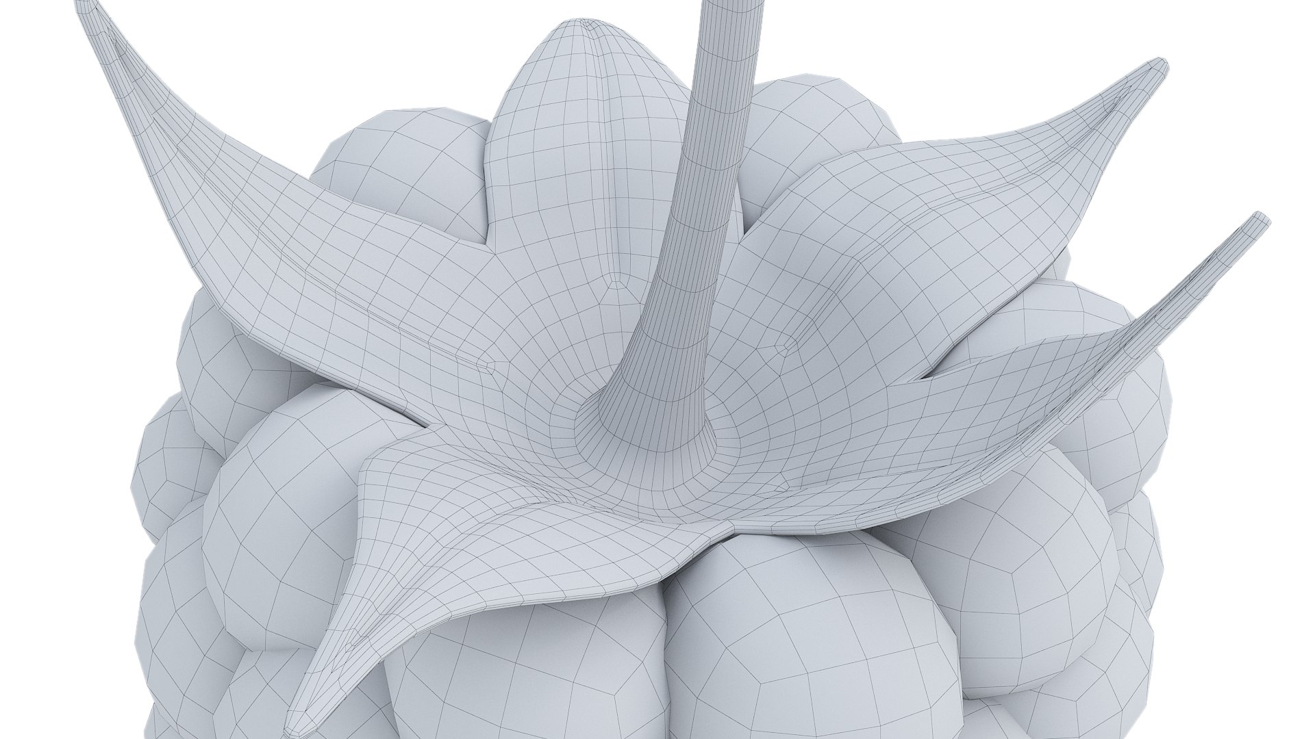 3D Raspberry 2 https://p.turbosquid.com/ts-thumb/Lq/I9OPkB/nB/16/png/1651328945/1920x1080/fit_q87/6b731f259c40e62734dc0cd533096ef6c37bfed5/16.jpg