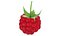 Raspberry 2