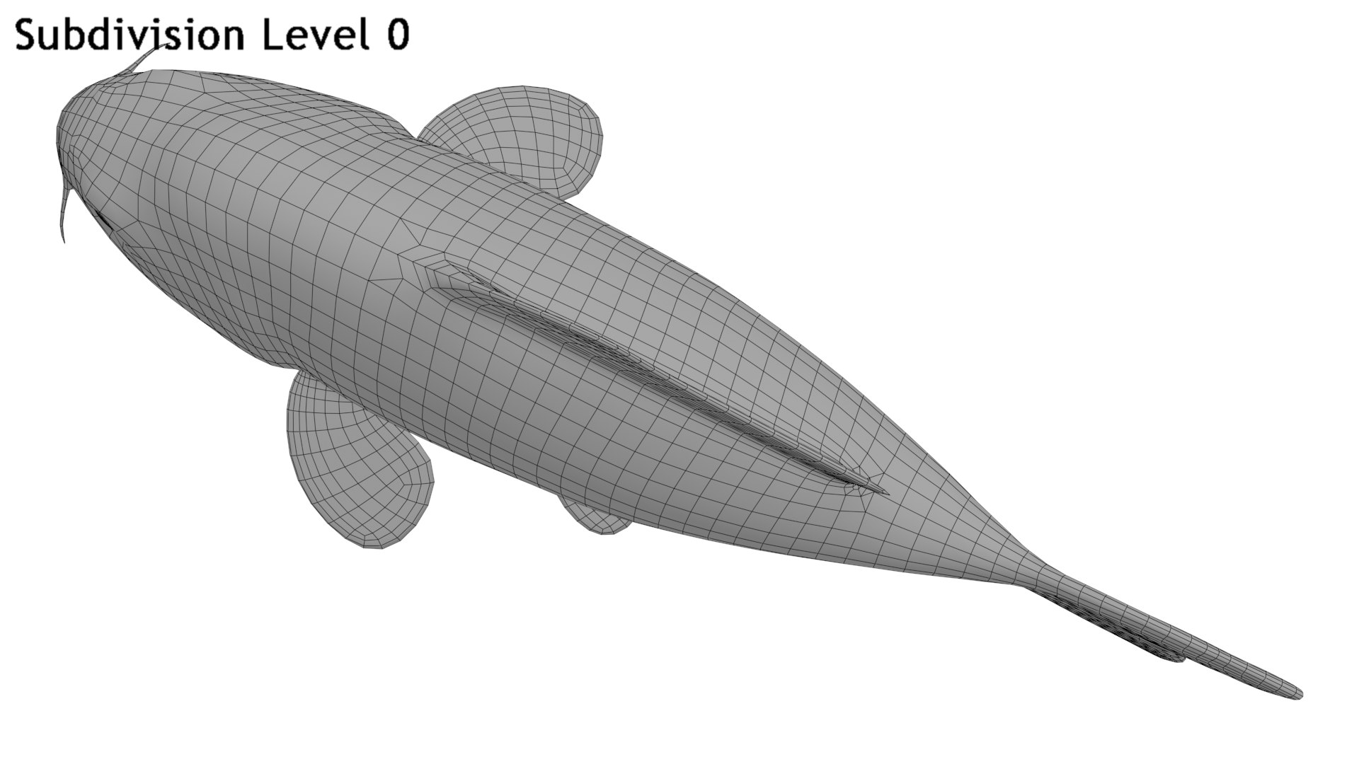 Carp Fish 3D - TurboSquid 1830553