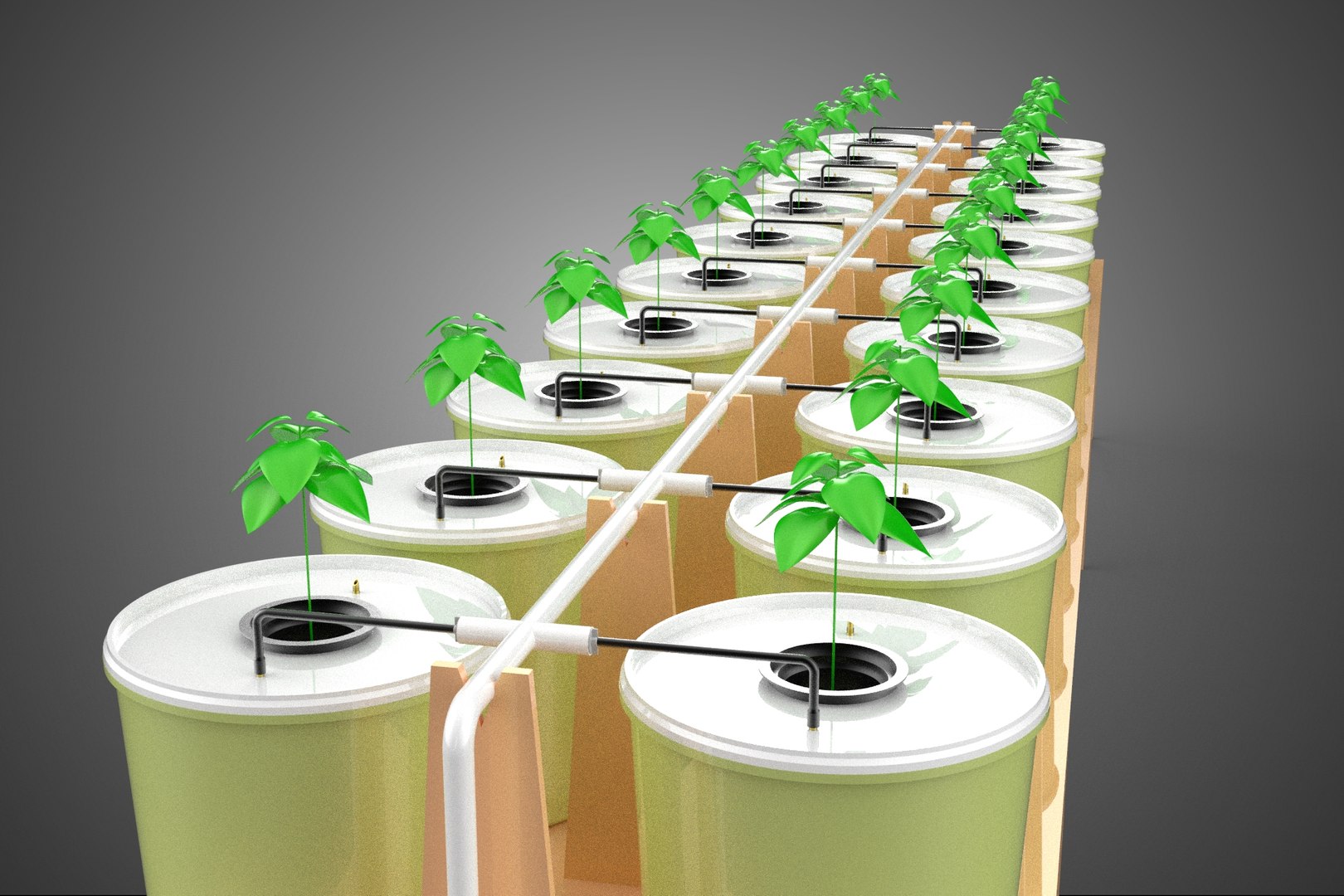 3D model DUTCH BUCKET PLANT VEGETABLE FRUIT HYDROPONIC FARM CULTIVATION https://p.turbosquid.com/ts-thumb/Lq/XvgaV7/1D/01_921_dutchbucketplantvegetablefruithydroponicfarmcultivation/jpg/1765727499/1920x1080/fit_q87/a0563cc82143dfcf8bf59ccb6e0e49780aa516c2/01_921_dutchbucketplantvegetablefruithydroponicfarmcultivation.jpg