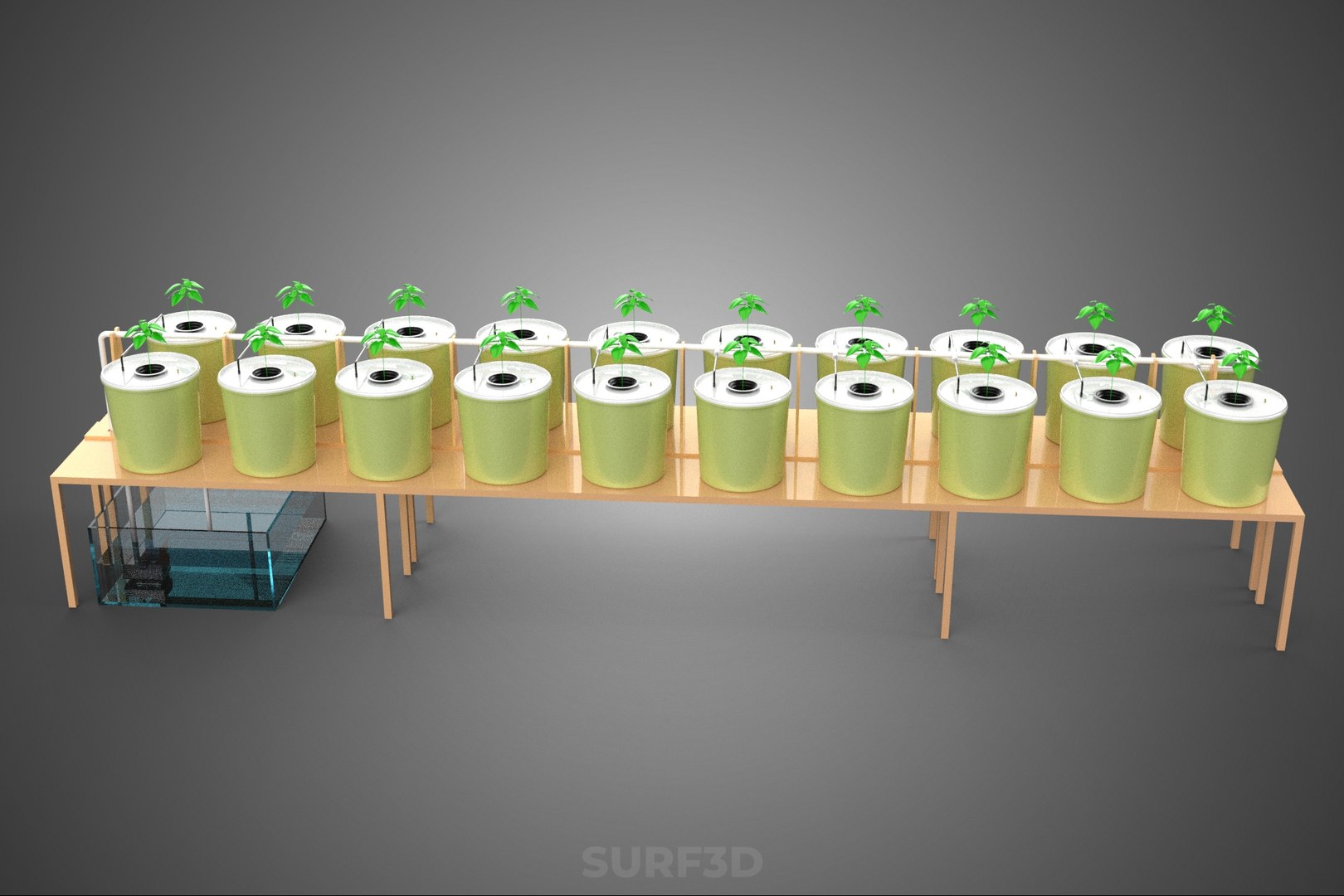 3D model DUTCH BUCKET PLANT VEGETABLE FRUIT HYDROPONIC FARM CULTIVATION https://p.turbosquid.com/ts-thumb/Lq/XvgaV7/eZ/14_921_dutchbucketplantvegetablefruithydroponicfarmcultivation/jpg/1765727536/1920x1080/fit_q87/070a49f0feba15010efe5c1692e911a098e4b13a/14_921_dutchbucketplantvegetablefruithydroponicfarmcultivation.jpg