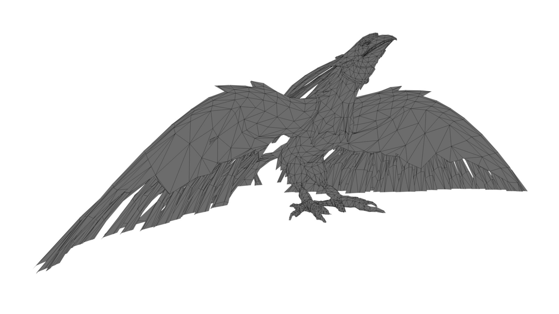 Phoenix Bird Model - TurboSquid 2411616