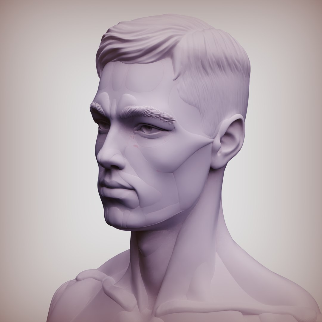 3D Model Man Bust Constructor - TurboSquid 2210761
