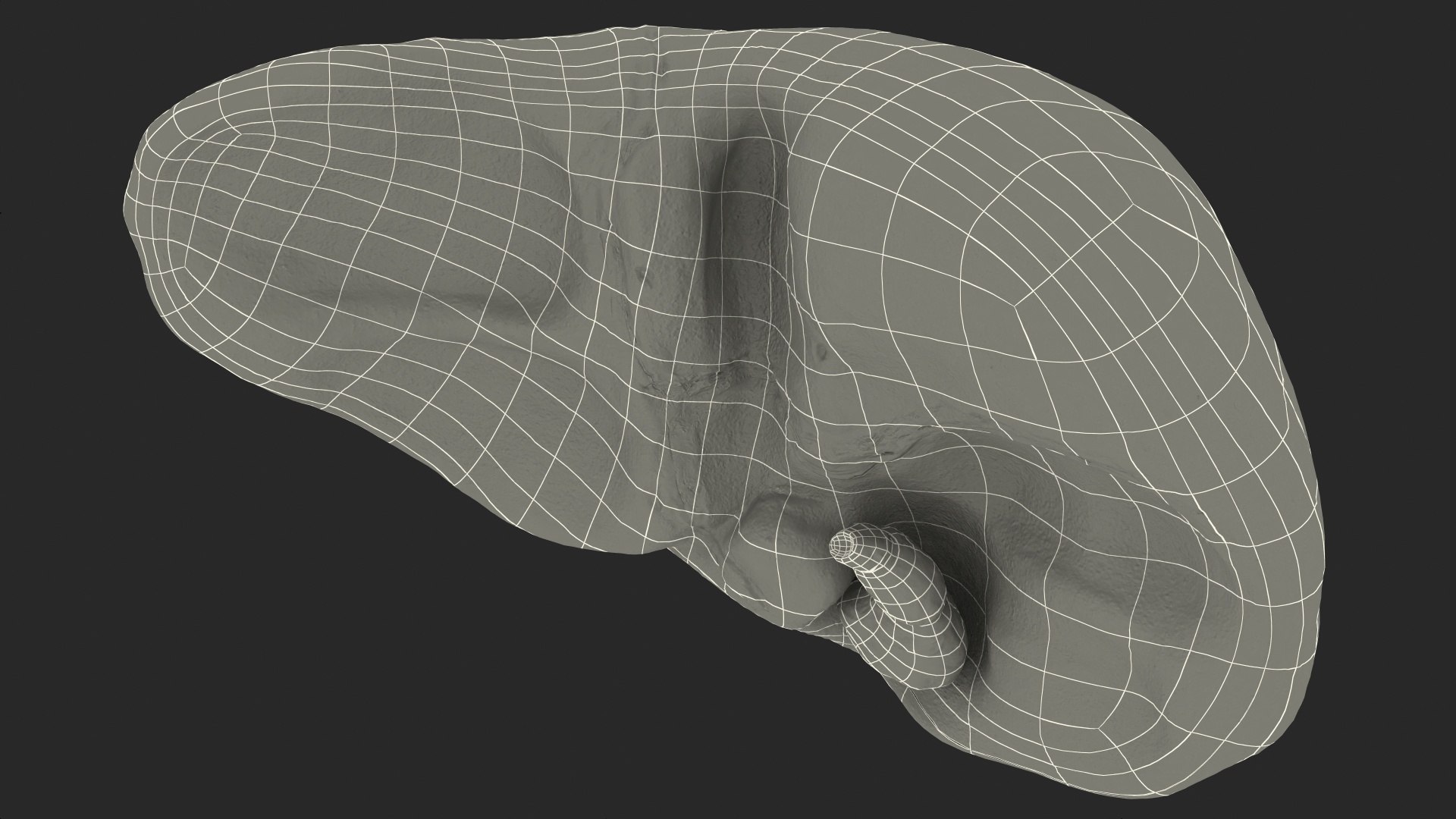 Human Organs Collection 3D model https://p.turbosquid.com/ts-thumb/Lr/5KSt0c/5f/human_organs_collection_015/jpg/1745498579/1920x1080/fit_q87/4f2473e653a440af225a637f186cc6253ccc1593/human_organs_collection_015.jpg