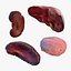 Human Organs Collection