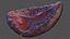 Human Organs Collection