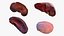 Human Organs Collection