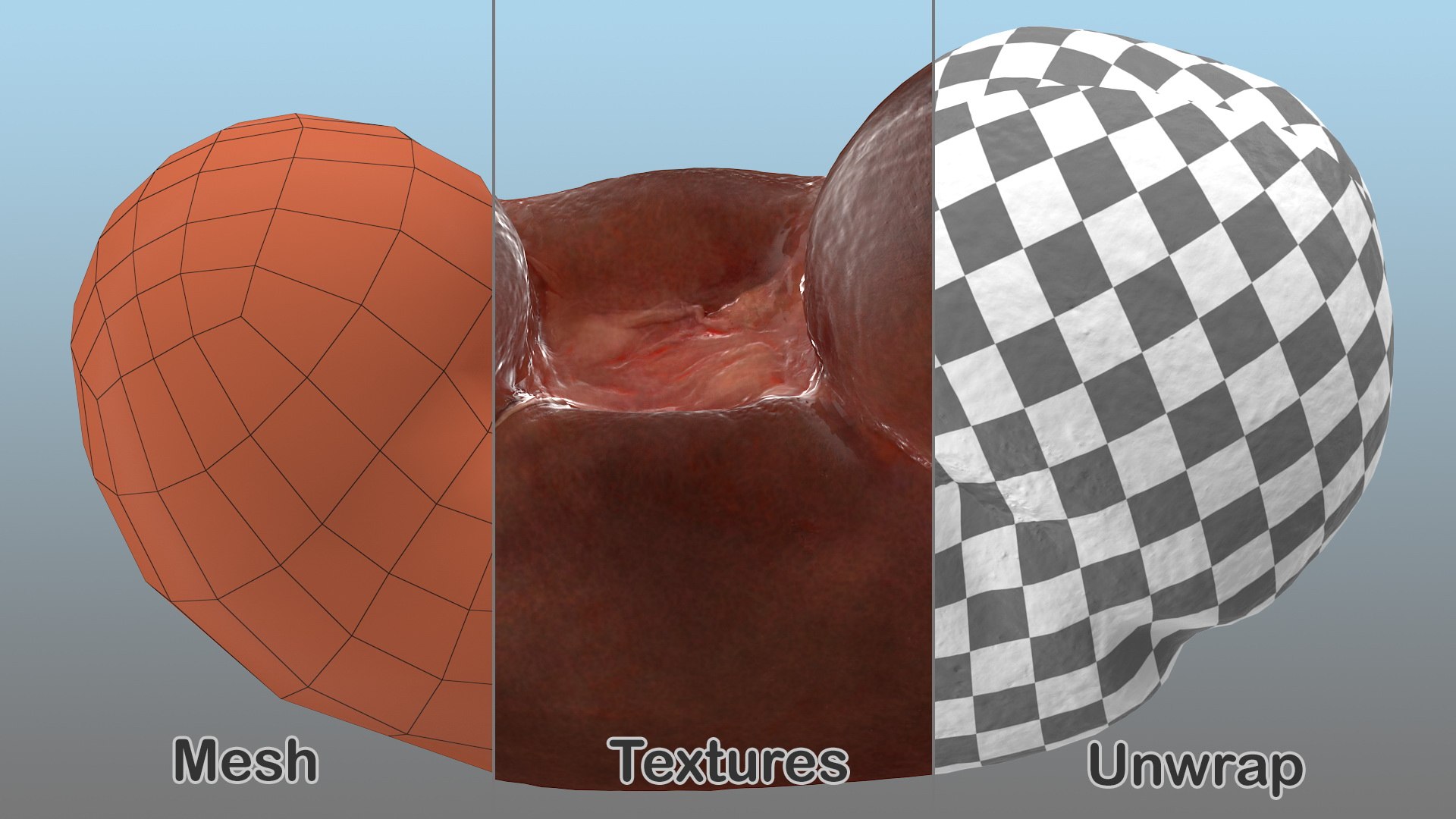 Human Organs Collection 3D model https://p.turbosquid.com/ts-thumb/Lr/5KSt0c/if/human_organs_collection_014/jpg/1745498579/1920x1080/fit_q87/68ab3a04db79eed20b223605b4e603a7d8f35f25/human_organs_collection_014.jpg