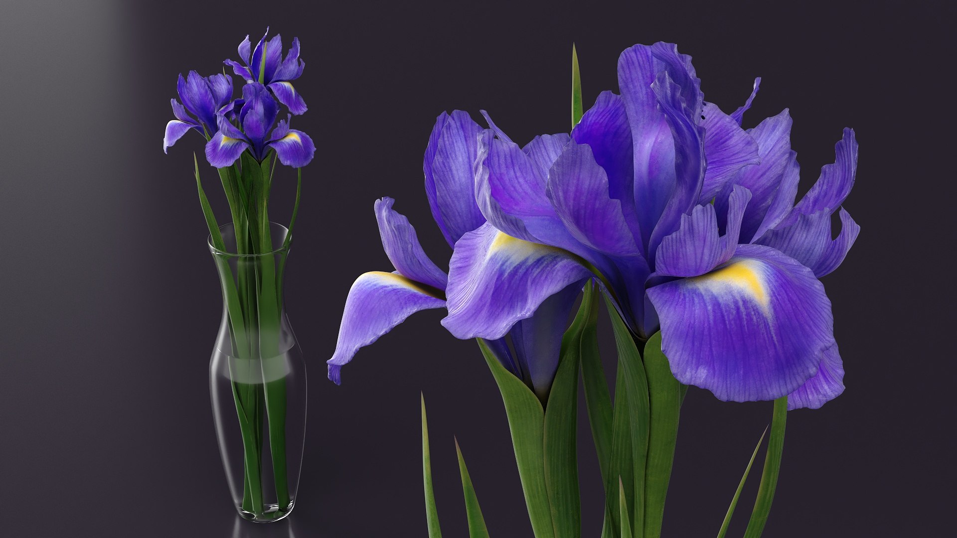 3D model Iris Flower Bouquet in Glass Vase Purple https://p.turbosquid.com/ts-thumb/Lr/5yjCve/5T/iris_flower_bouquet_in_glass_vase_purple_003/jpg/1765319982/1920x1080/fit_q87/c71b54aaa4df4c262e2239f66b51f9dfbca1e2ac/iris_flower_bouquet_in_glass_vase_purple_003.jpg