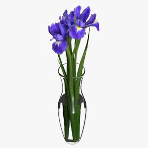 3D model Iris Flower Bouquet in Glass Vase Purple