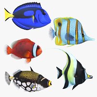 Coral Reef Fish Bundle 1