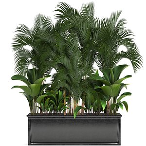 3D loft exotic plants model