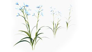 3D Blue-Camas flower model