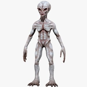 Grey Alien Creature 3D model