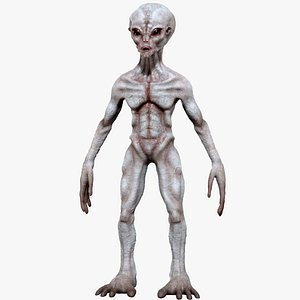 Grey Alien Creature