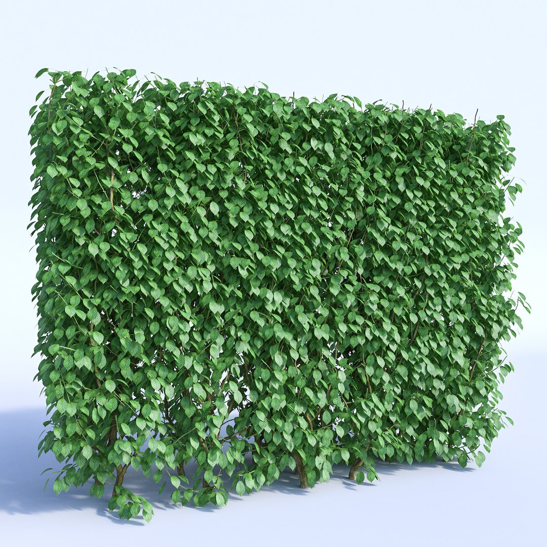 Set Bushes 3 3d Fbx