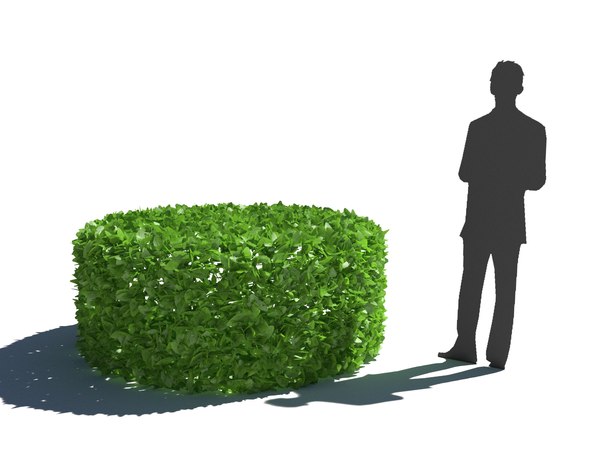 3D bush hedge model - TurboSquid 1187826