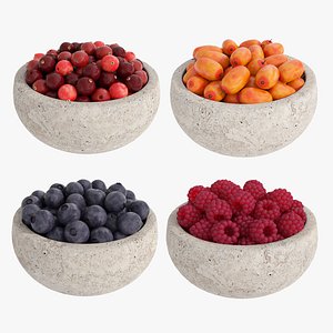 Berry bowls 3 3D