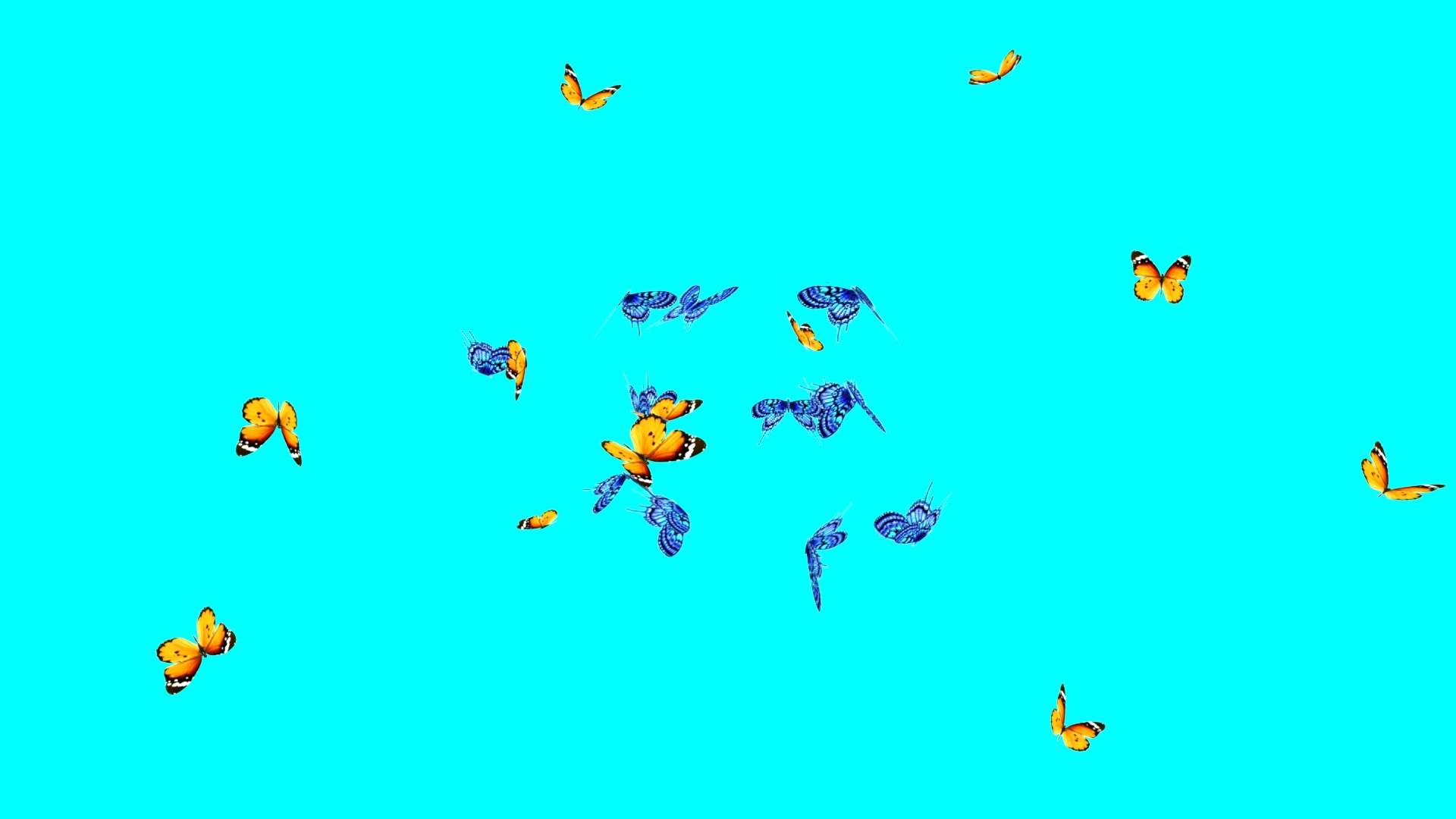 3D Butterflies Flight Animation Natural - TurboSquid 1674179