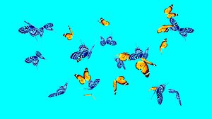 butterflies animation