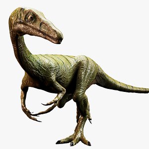 3D Dinosaur-Compsognathus - 110 Animations - Unity Projects