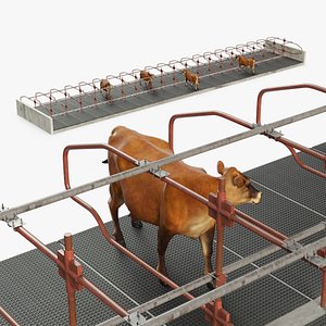 Cow Resting Area and Cow