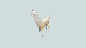 llama 3d