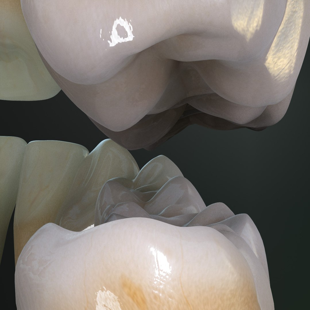 teeth permanent dentition max https://p.turbosquid.com/ts-thumb/Lr/olA9jH/LjXG69Z9/pd_06/jpg/1369876472/1920x1080/fit_q87/9691bfc66dc31e2924fd6bb7454823d9e26dd80d/pd_06.jpg