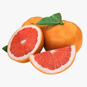 3d realistic grapefruit red model