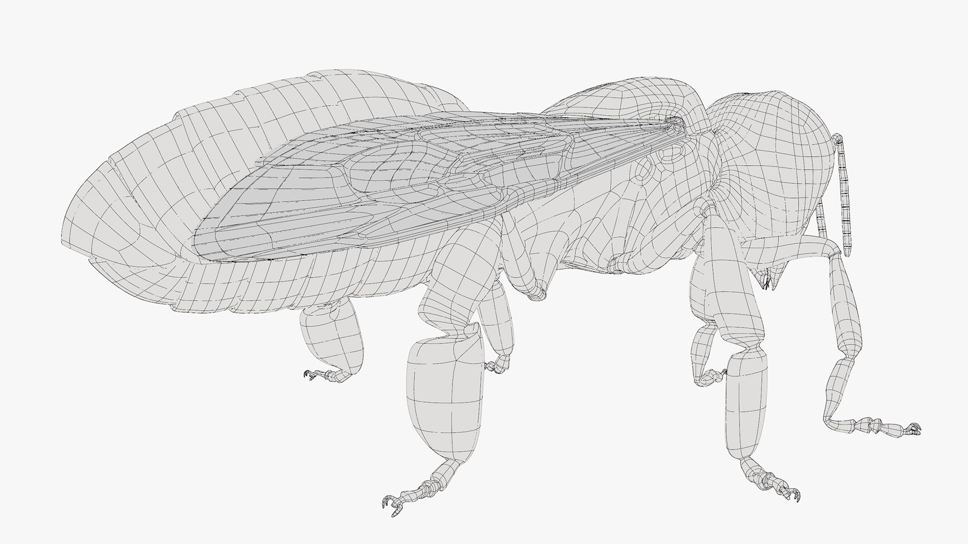 Worker Bee Rigged For Blender model https://p.turbosquid.com/ts-thumb/Lr/tmSwTQ/60/worker_bee_rigged_for_blender_015/jpg/1761820857/1920x1080/fit_q87/4f8ad13d36739ce253c316ff80f56147bccac971/worker_bee_rigged_for_blender_015.jpg