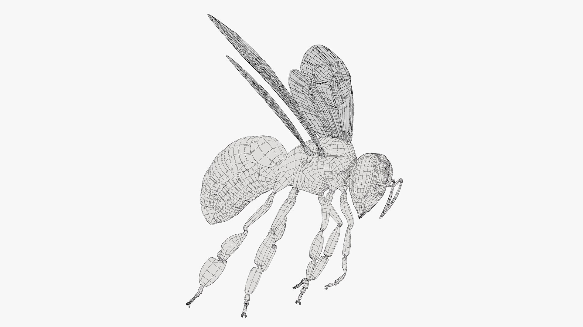 Worker Bee Rigged For Blender model https://p.turbosquid.com/ts-thumb/Lr/tmSwTQ/Ar/worker_bee_rigged_for_blender_016/jpg/1761820860/1920x1080/fit_q87/1b33c9c71d086d2fefead7b20c9e67f76c1e21e2/worker_bee_rigged_for_blender_016.jpg