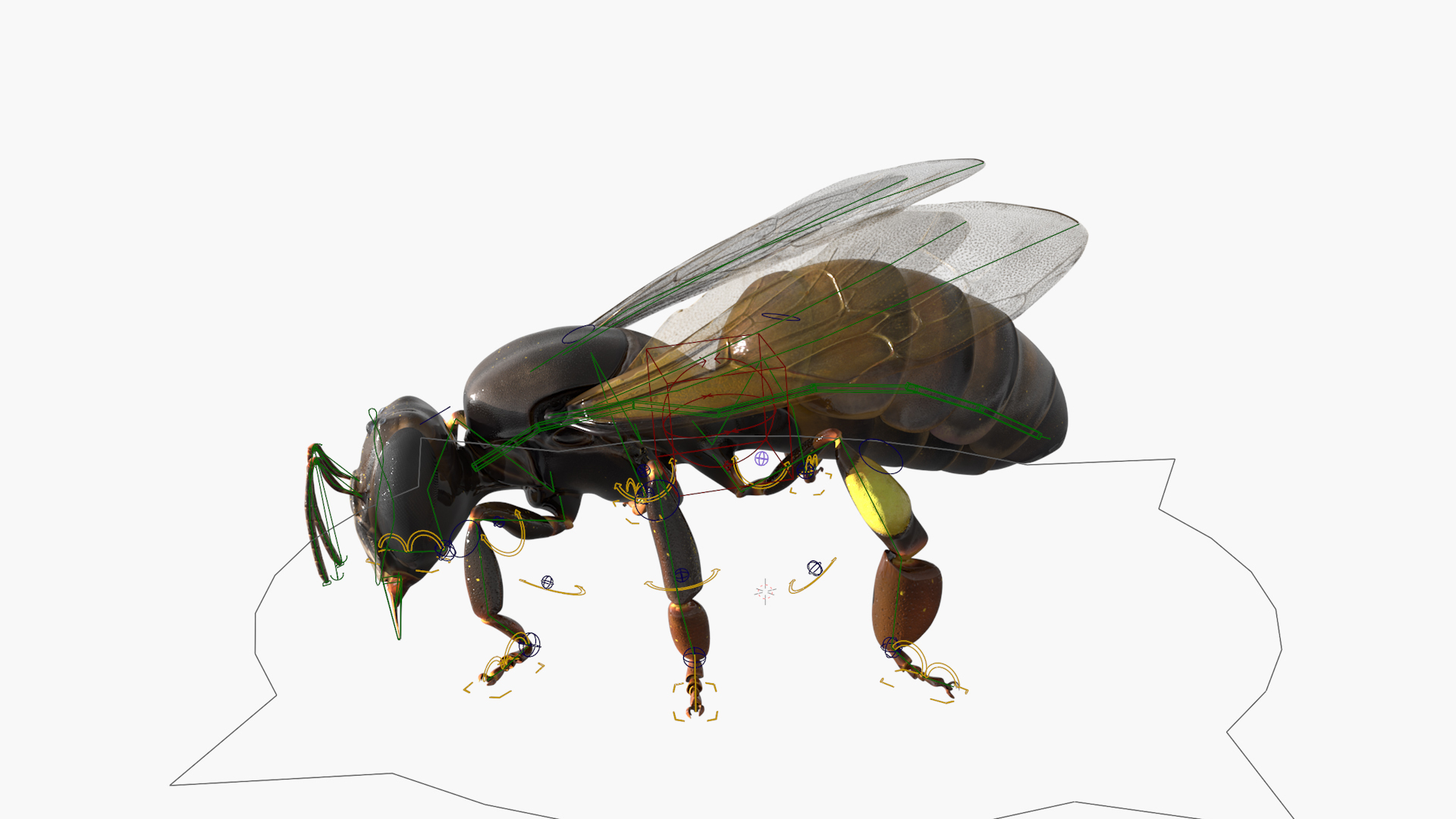 Worker Bee Rigged For Blender model https://p.turbosquid.com/ts-thumb/Lr/tmSwTQ/tJ/worker_bee_rigged_for_blender_361/jpg/1761820740/1920x1080/turn_fit_q99/907cad2d7004dba1b50ad626050398a2dc24a3e4/worker_bee_rigged_for_blender_361-1.jpg