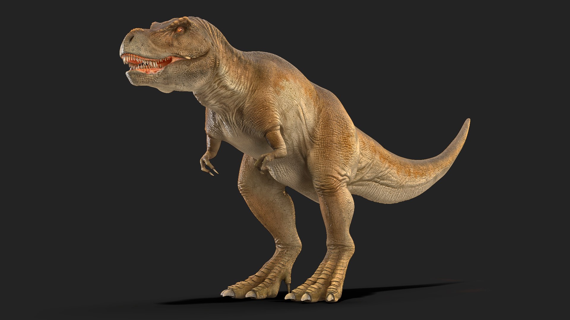 3D tyrannosaurus rex waiting animal model https://p.turbosquid.com/ts-thumb/Lr/uZEDBi/Chn0haAt/animatedtyrannosaurusrexidleriggedvray3dmodel001/jpg/1575268227/1920x1080/fit_q87/52621e75f755263a6cbef9834bffb1d6544024fe/animatedtyrannosaurusrexidleriggedvray3dmodel001.jpg