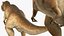 3D tyrannosaurus rex waiting animal model