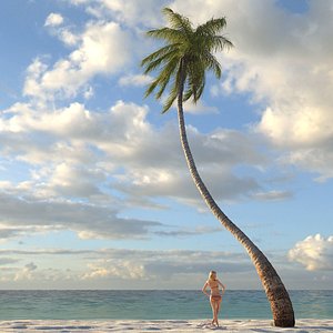 coconut palm tree 3d max