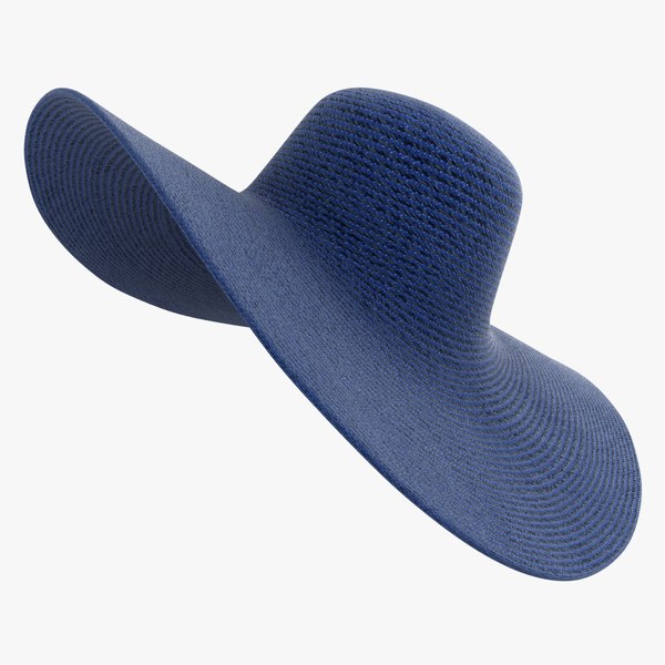 3D Beach Hat 01 Blue