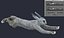 Modelo de liebre Low-poly libre