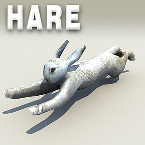 hare 3d obj