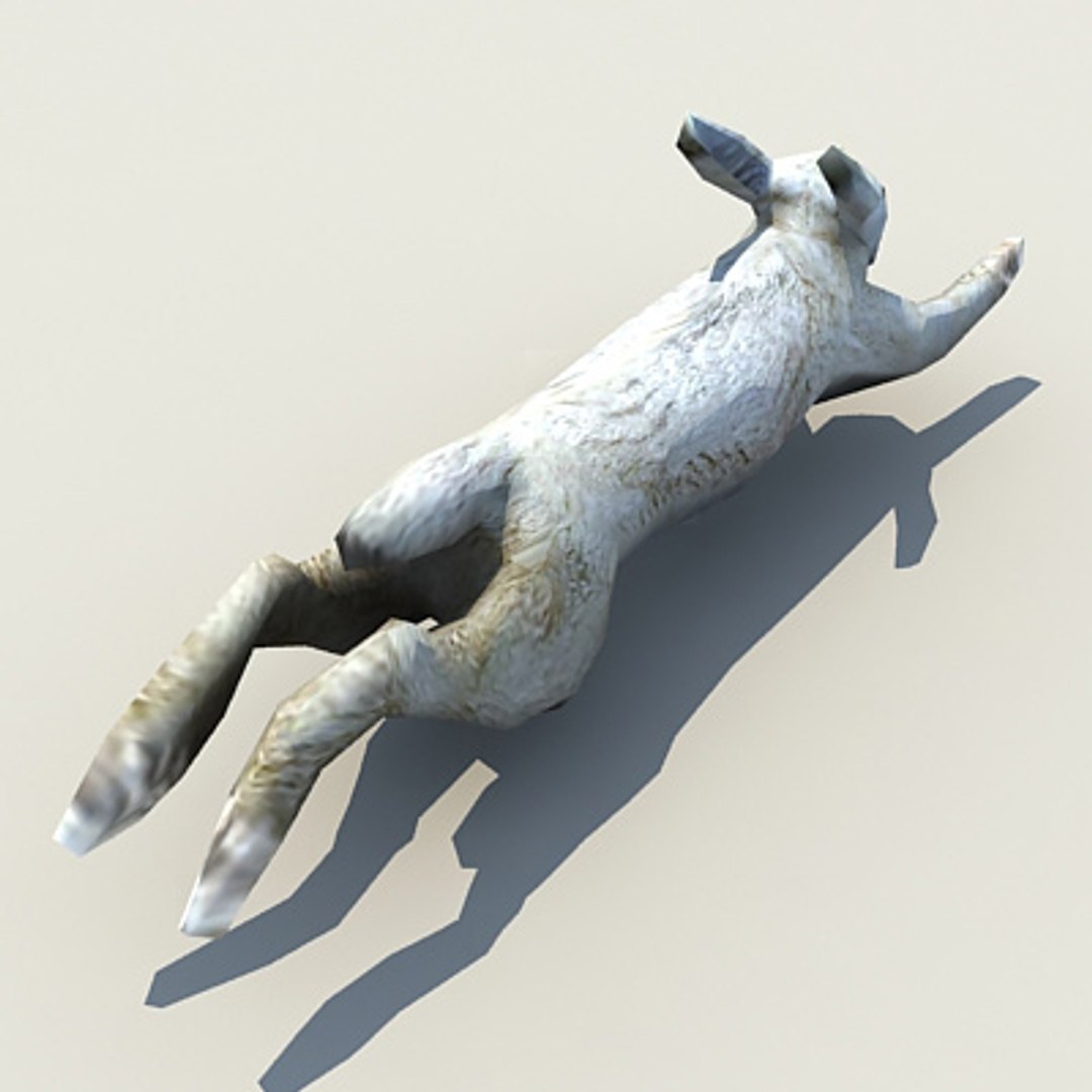 hare 3d obj https://p.turbosquid.com/ts-thumb/Ls/Jbogyx/sY3KG5cW/prev_02/jpg/1134790415/1920x1080/fit_q87/87225cad53e71fad163f47954c68c4b5a1637c05/prev_02.jpg