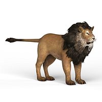 Low Poly Lion