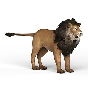 Low Poly Lion