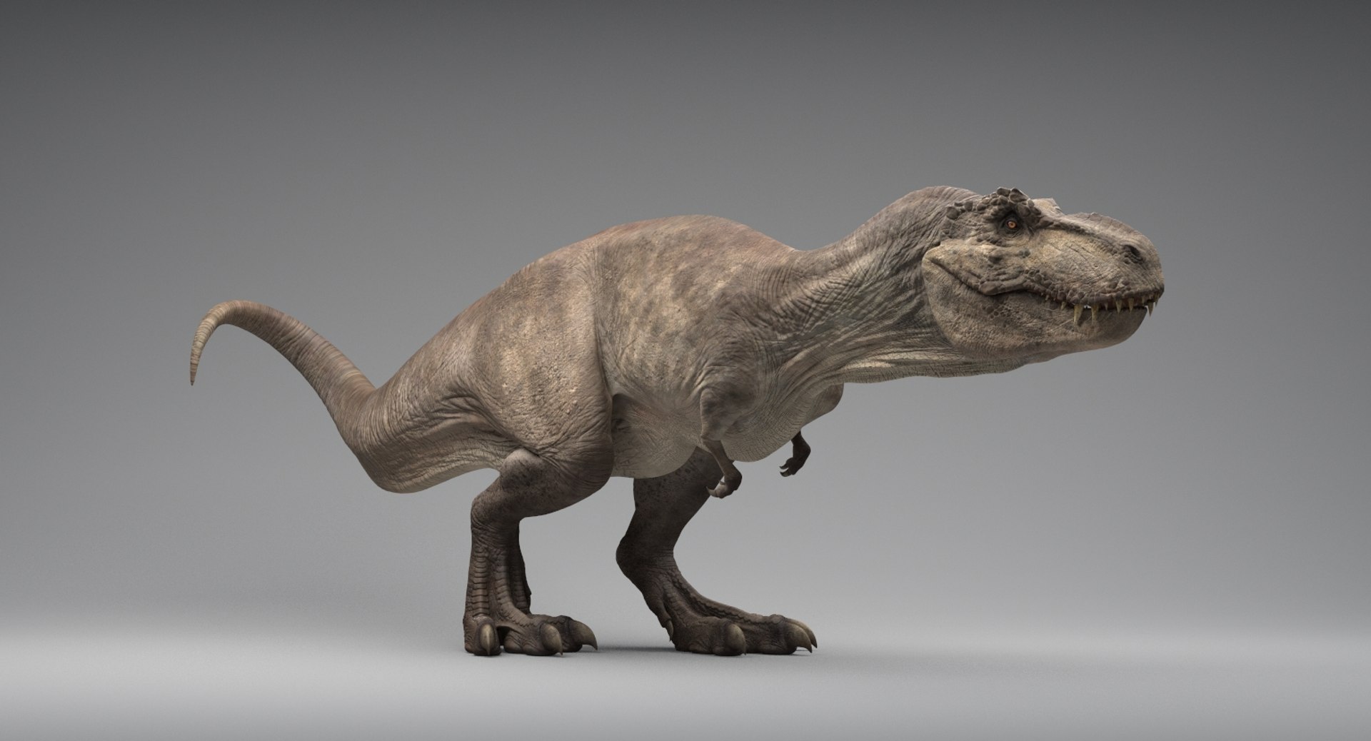 t-rex rigging animation 3D model https://p.turbosquid.com/ts-thumb/Ls/SJhwVf/bJmdnp1Y/10/jpg/1503058541/1920x1080/fit_q87/d236330aac755e6c582e95d1bd0b3907141b0811/10.jpg