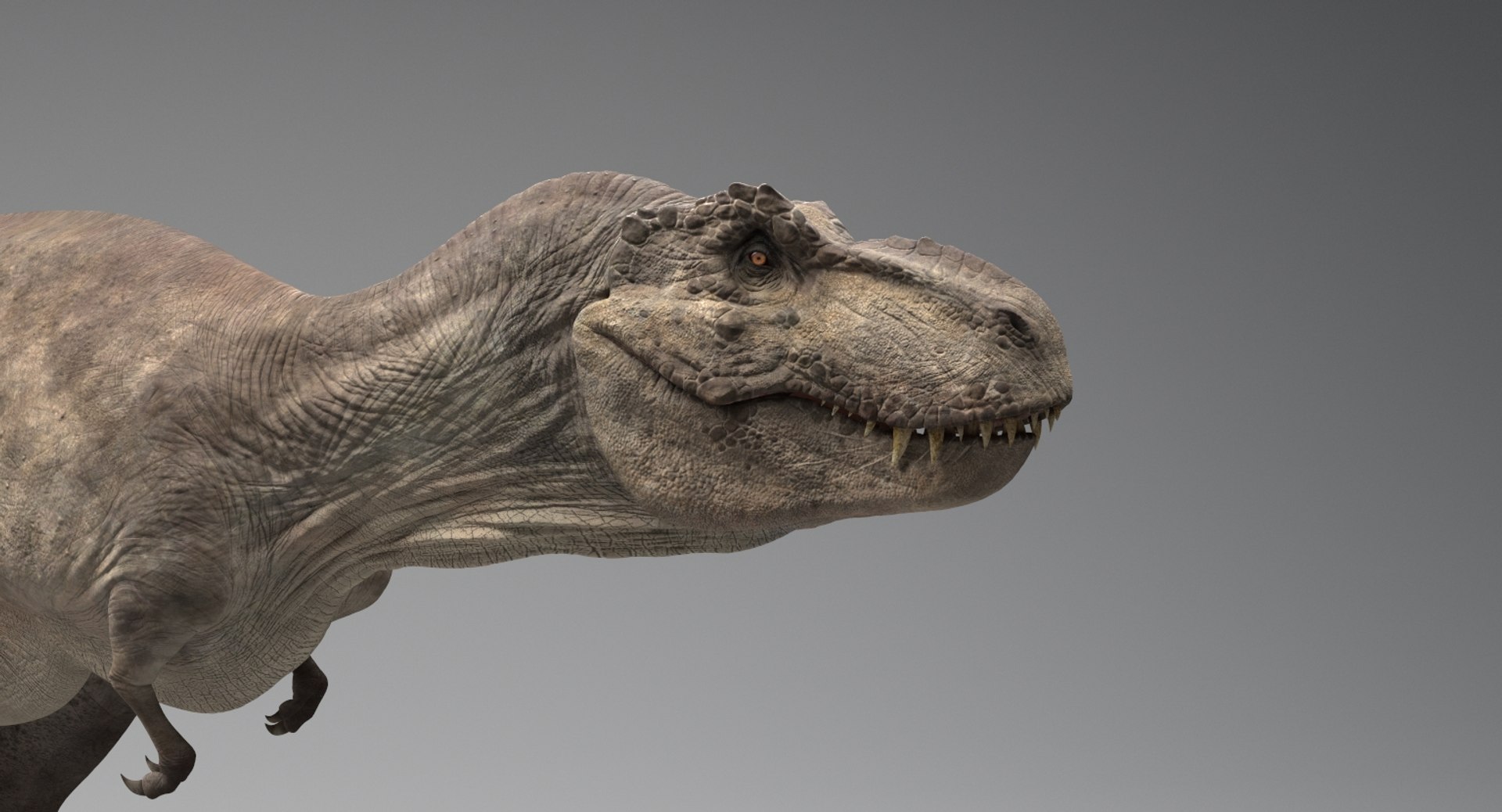 T-rex Rigging Animation 3D Model - TurboSquid 1194430