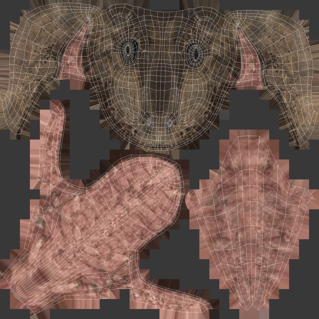 t-rex rigging animation 3D model https://p.turbosquid.com/ts-thumb/Ls/SJhwVf/ex9fG9rF/diffuse_head/jpg/1503333251/1920x1080/fit_q87/2f739241a50c7d3aa9114a15e23dbedcc3ade991/diffuse_head.jpg