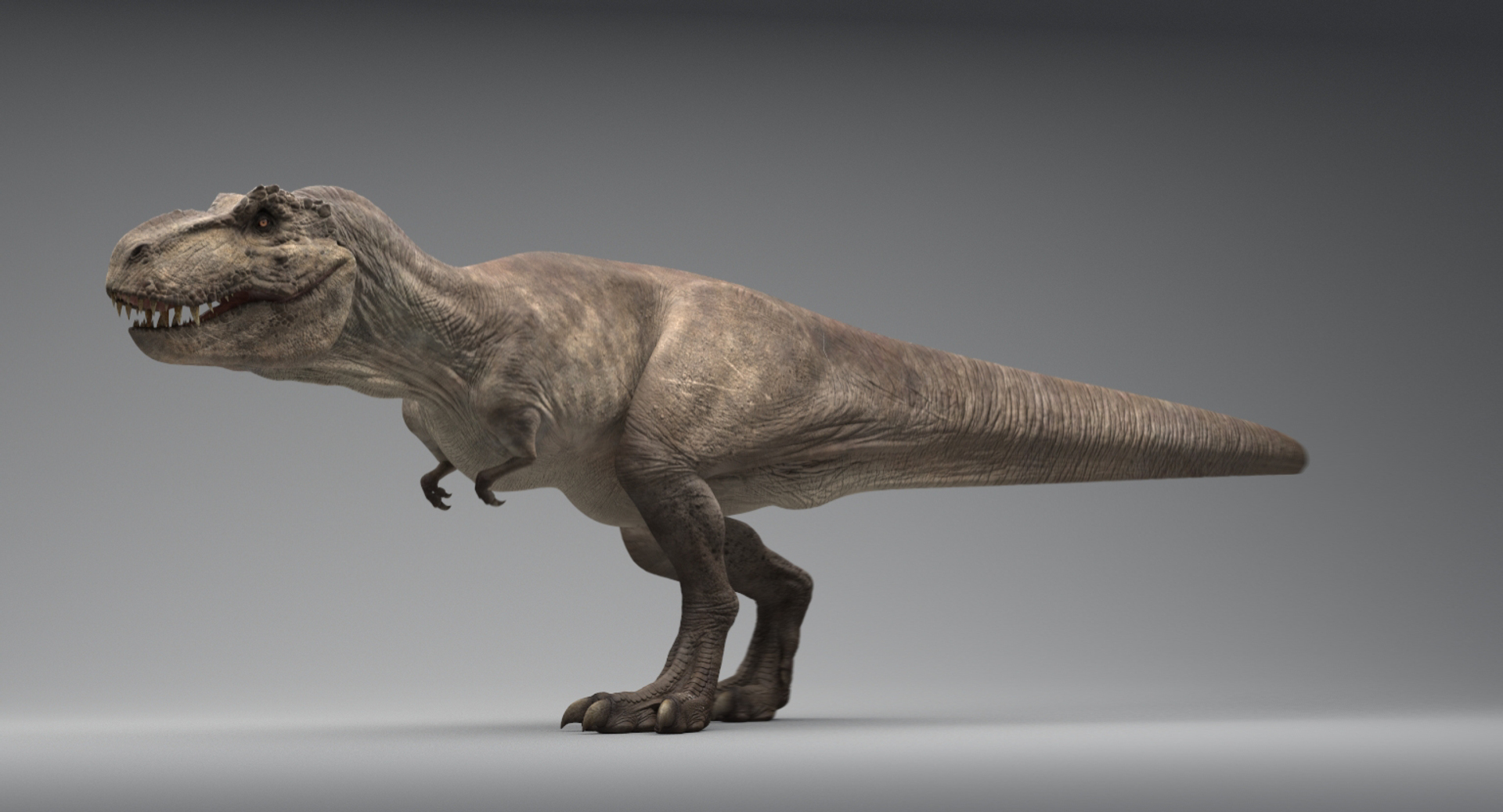 3D tyrannosaurus rex running dinosaur animal model - TurboSquid