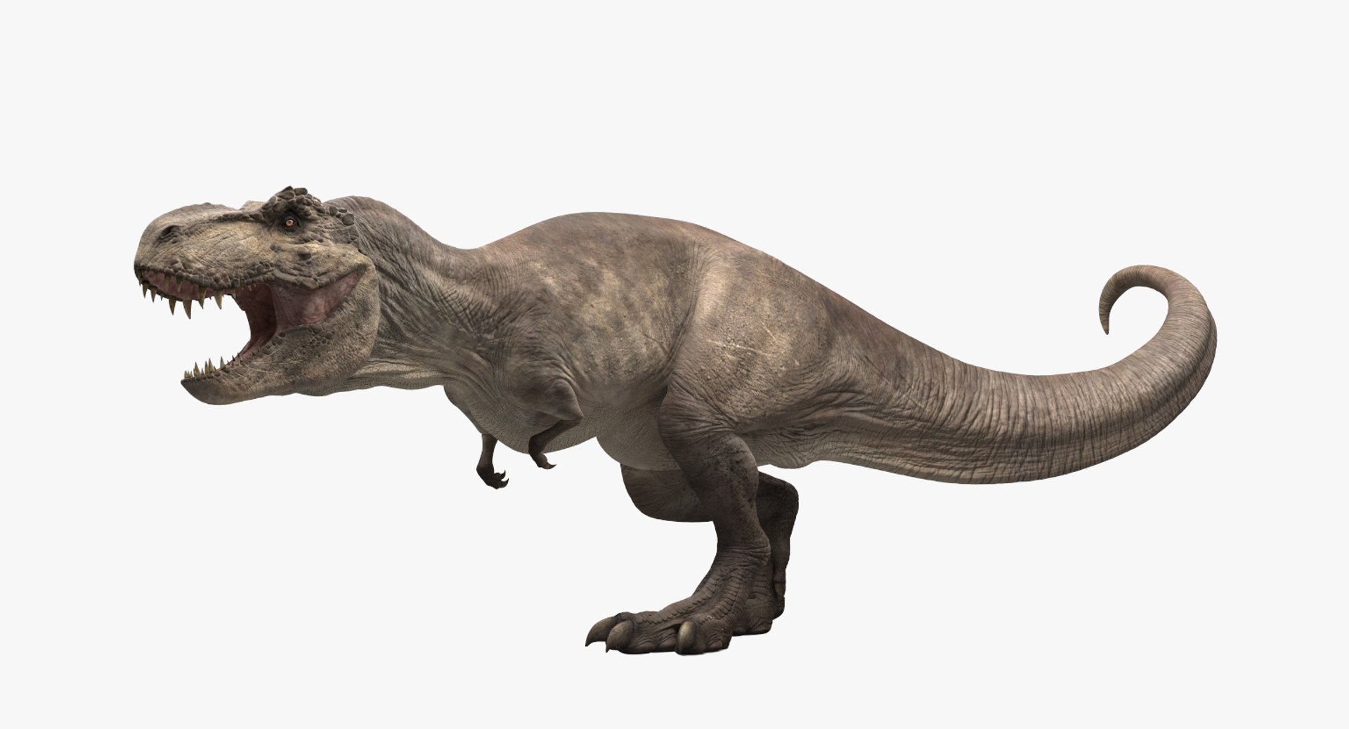 Tyrannosaurus rex running animal 3D model - TurboSquid 1566262