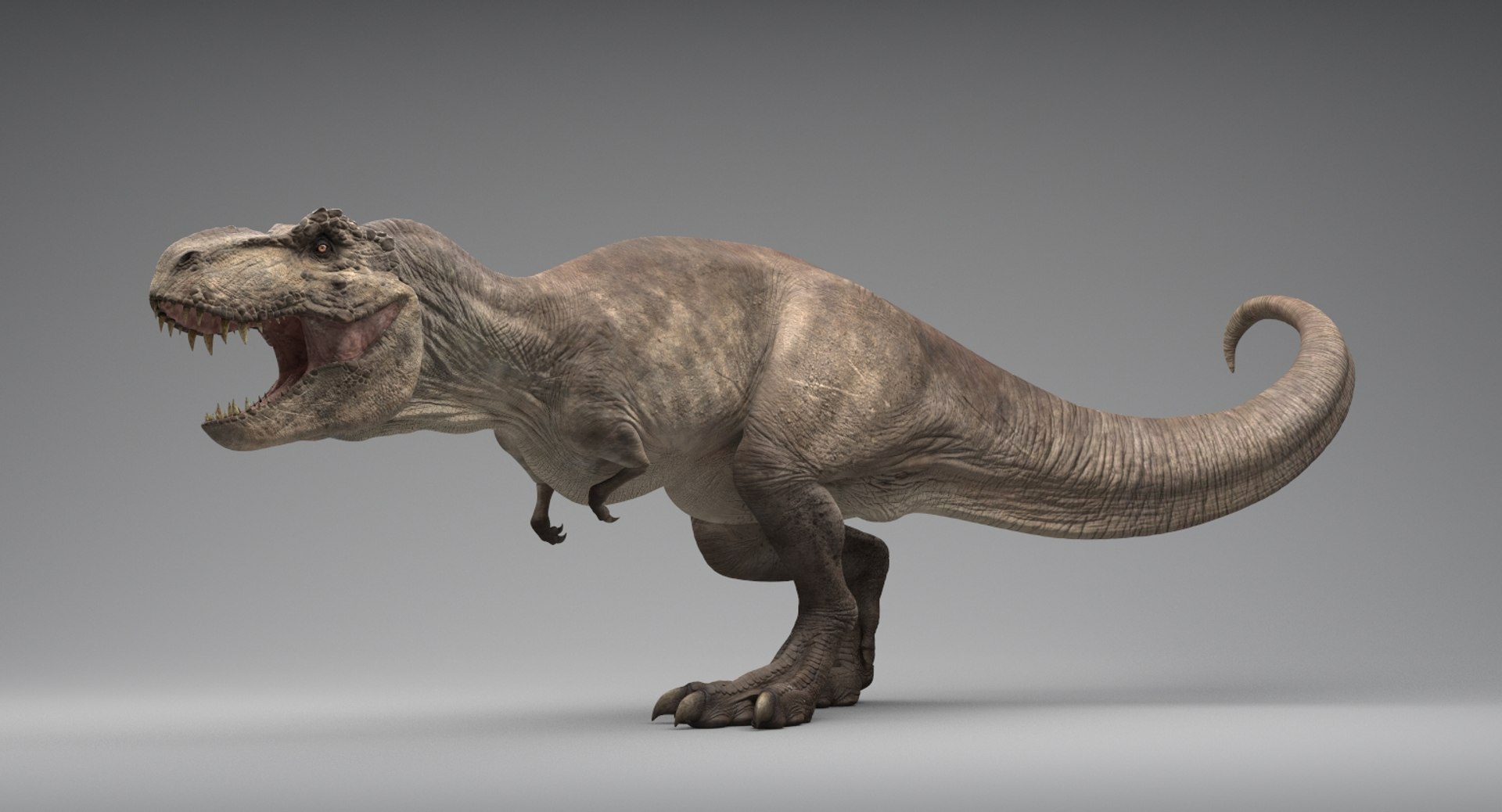 t-rex rigging animation 3D model https://p.turbosquid.com/ts-thumb/Ls/SJhwVf/ngmtSgoJ/title/jpg/1503058217/1920x1080/fit_q87/35e45e68f21ddd51daeaa1676f1b52c6d1138882/title.jpg