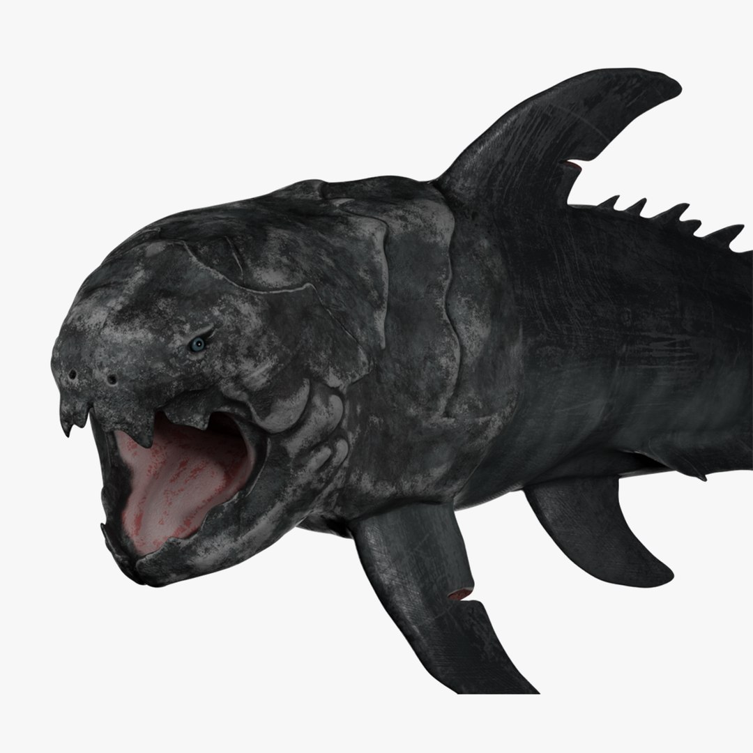 3D Dunkleosteus Rigged - TurboSquid 1960191