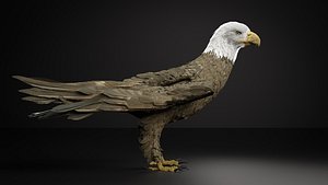 Bald Eagle  Blender