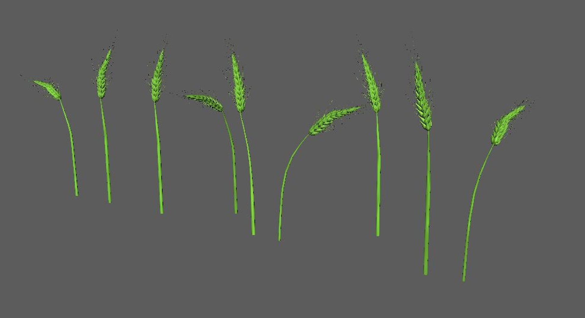 Wheat Green 3D - TurboSquid 1281148